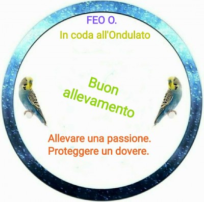 IMG_20220127_135308.jpg