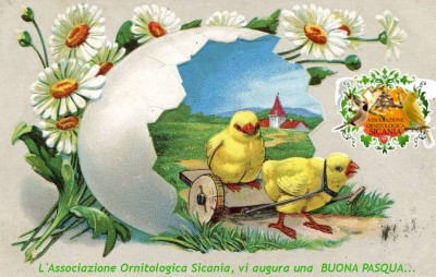 Sicilia  PASQUA....jpg