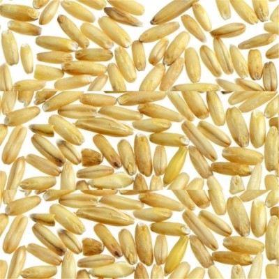 seme-di-avena-decorticata-kg-1.jpg