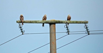 IMG_20230720_120815.jpg