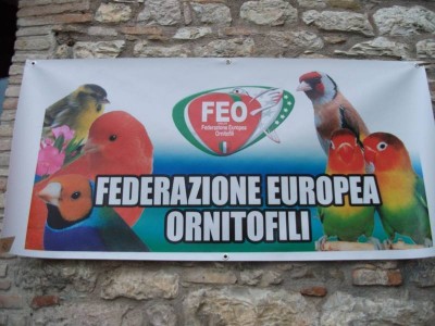 1° Campionato Nazionale FEO - 2^ assemblea Soci 1.jpg