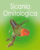sicani11.jpg