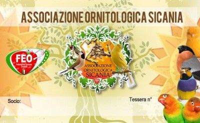 5623d361bbeb4_Tessera_dellASSOCIAZIOE_SICANIA_con_logo_FEO_jpg_36e4efc7c2e854ecf64e1cf7c12d084d.jpg