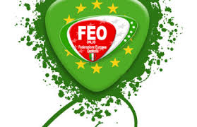 FEO logo.jpg
