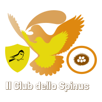 Logo club spinus.png